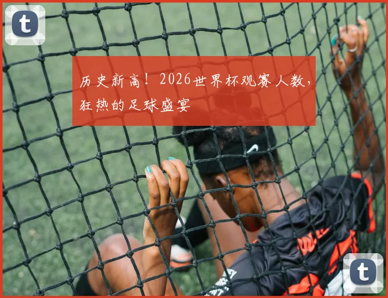 历史新高！2026世界杯观赛人数，狂热的足球盛宴